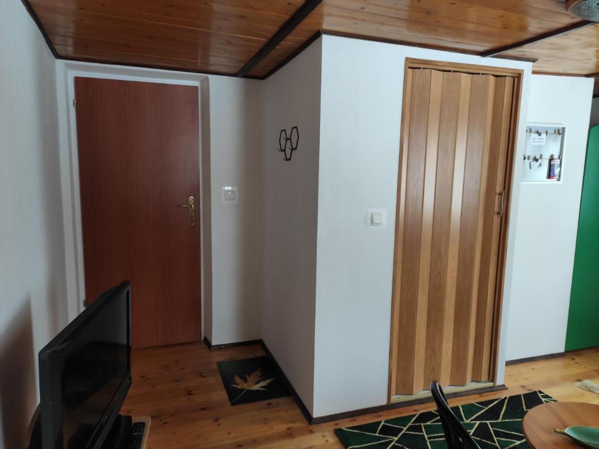 Home Stay Slotwinska Krynica Zdroj Eksteriør bilde