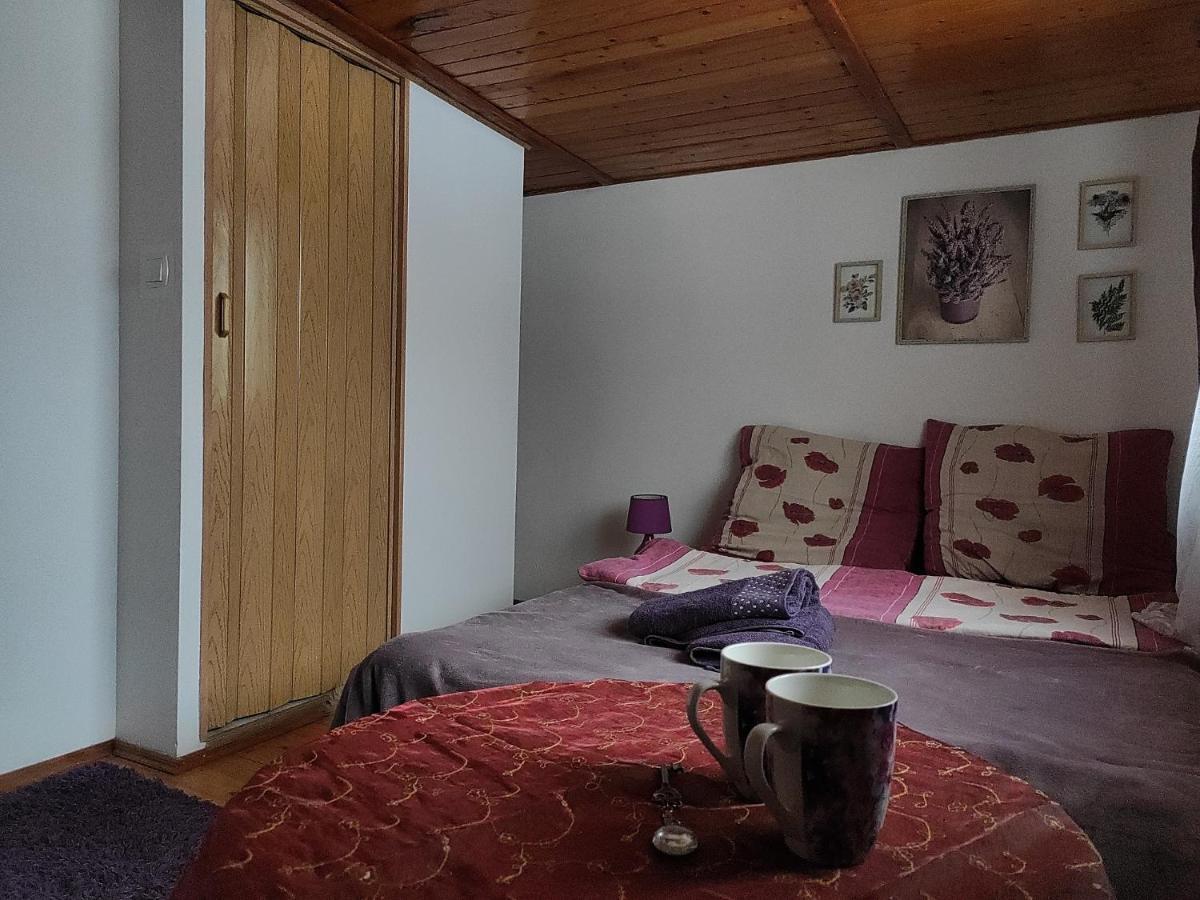 Home Stay Slotwinska Krynica Zdroj Eksteriør bilde