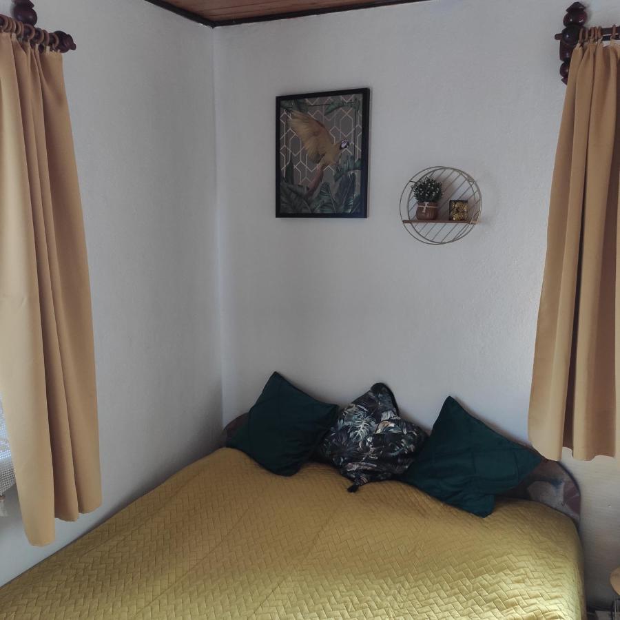 Home Stay Slotwinska Krynica Zdroj Eksteriør bilde