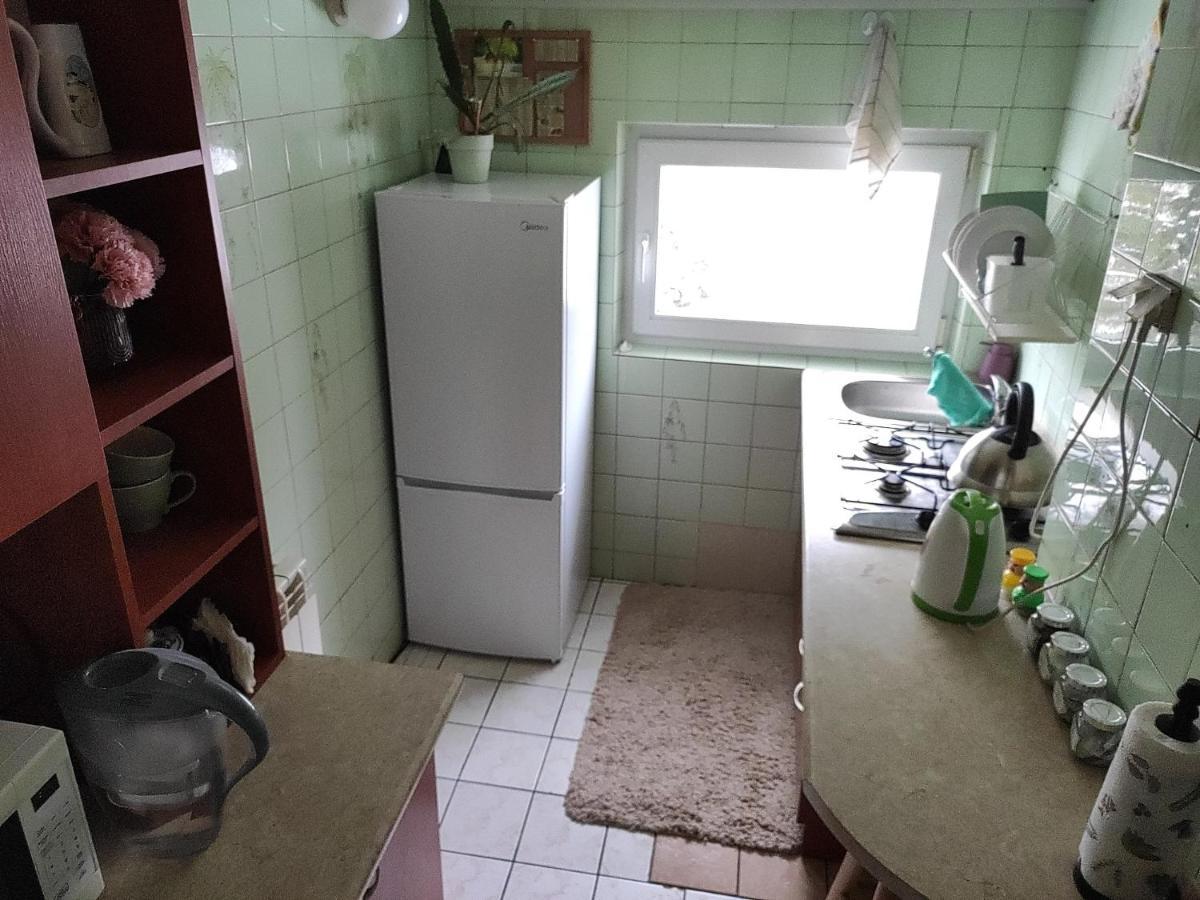 Home Stay Slotwinska Krynica Zdroj Eksteriør bilde